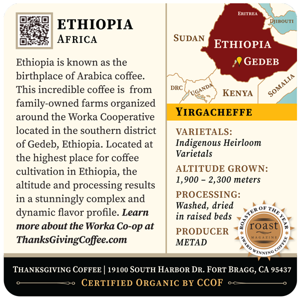 Ethiopia Yirgacheffe - Gedeb, Worka co-op supplier image 3