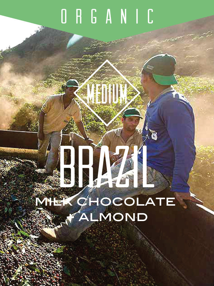 Organic Brazil Fazenda Dutra supplier image 1