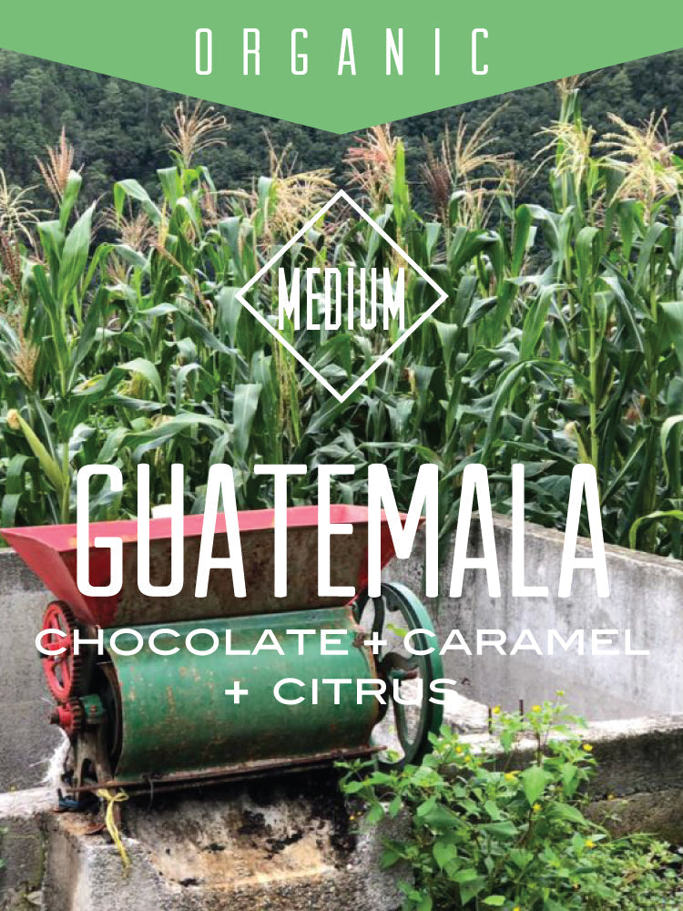 Organic Guatemala Huehuetenango supplier image 1