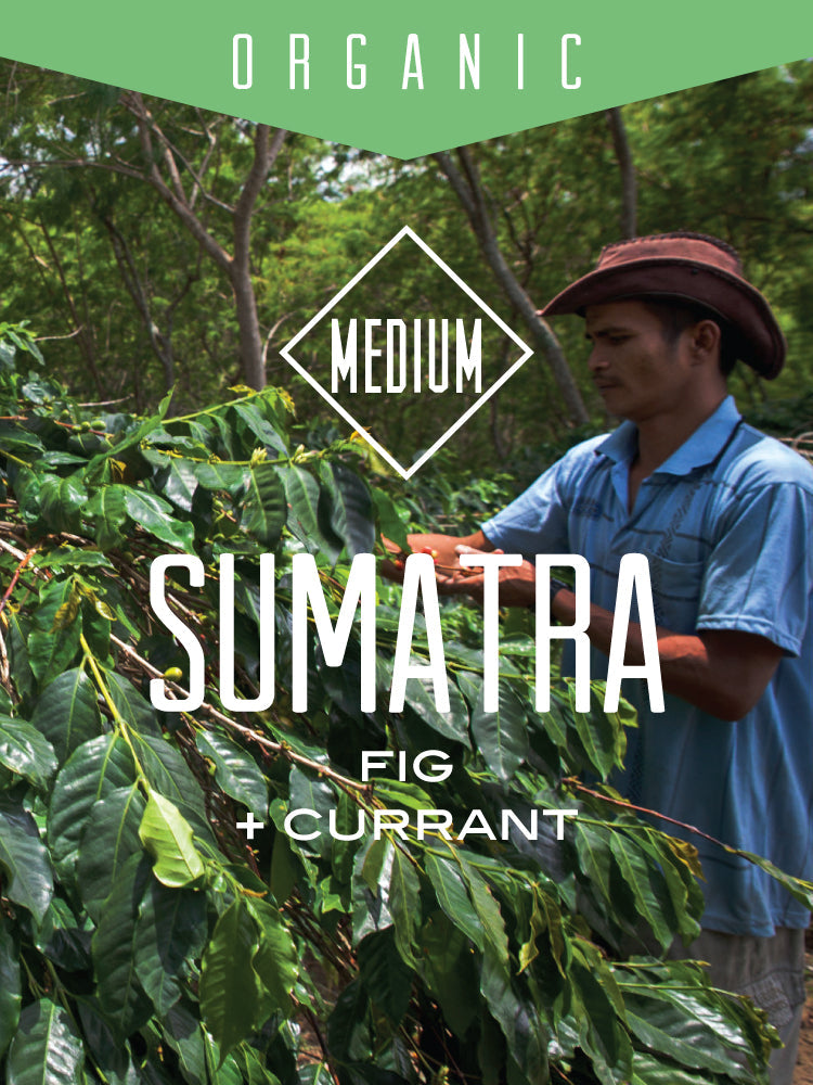 Organic Sumatra Bener Meriah Mandiri supplier image 1