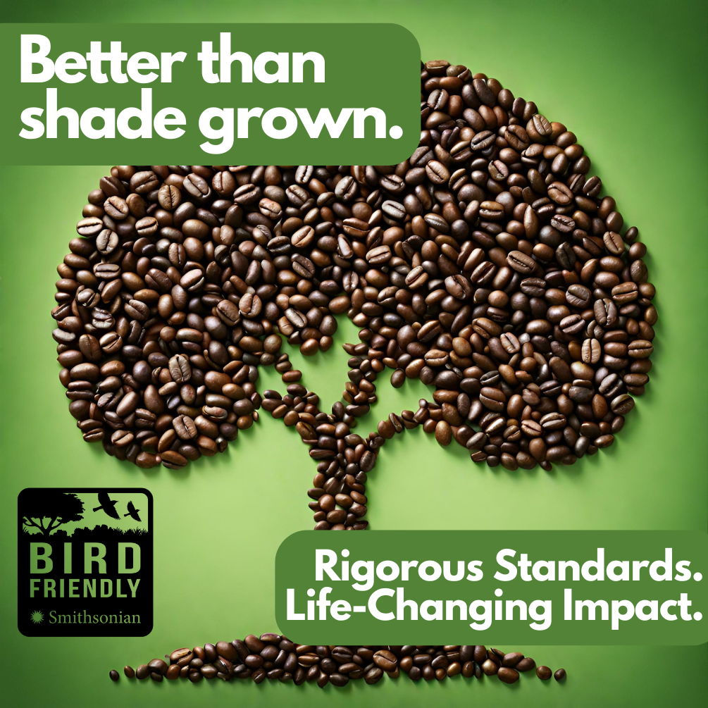 Espresso, Organic supplier image 2